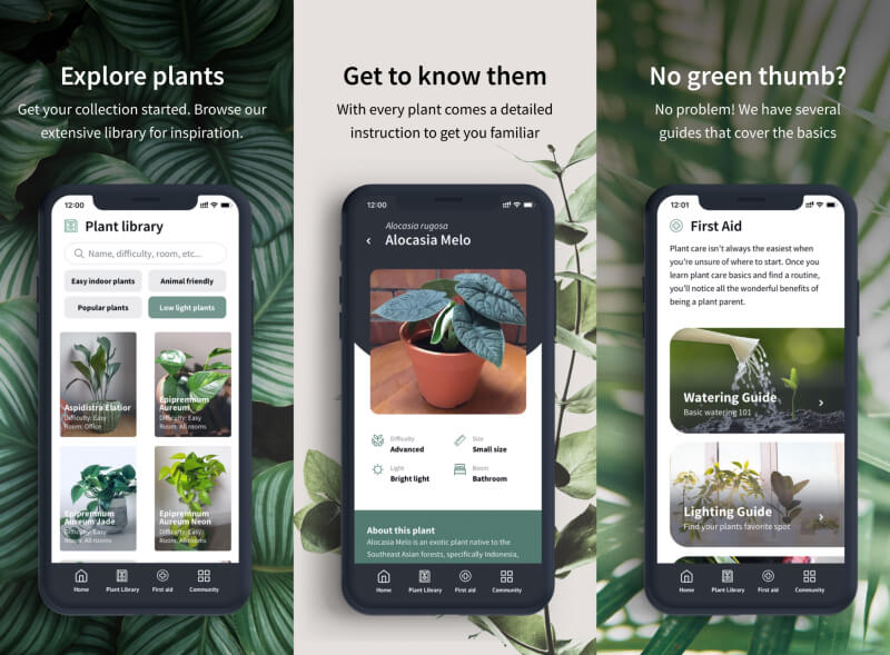 Publishing an app to the App-store without coding
