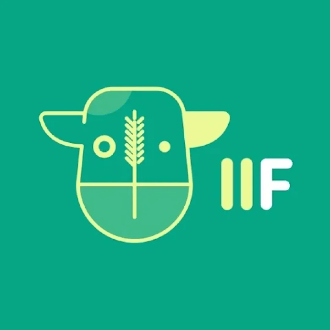 IIF app icon